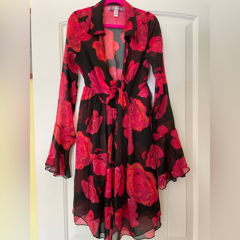 XS Urban Outfitters sheer dress